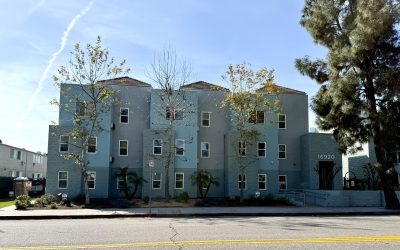Castlewood Terrace I